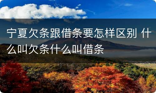 宁夏欠条跟借条要怎样区别 什么叫欠条什么叫借条
