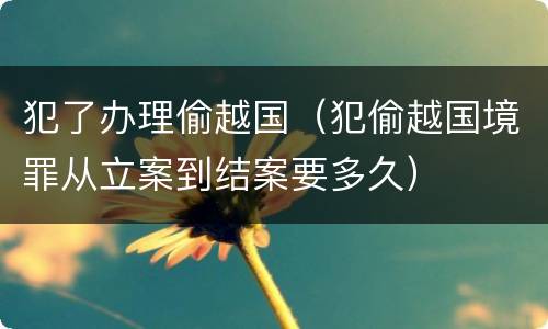 犯了办理偷越国（犯偷越国境罪从立案到结案要多久）