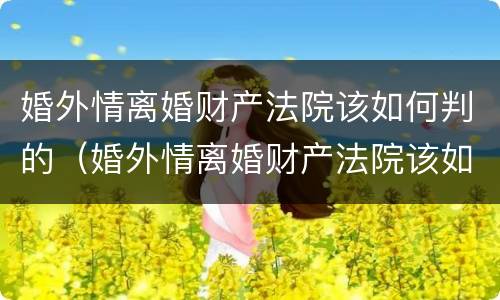 婚外情离婚财产法院该如何判的（婚外情离婚财产法院该如何判的呢）