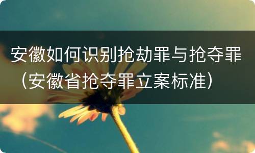安徽如何识别抢劫罪与抢夺罪（安徽省抢夺罪立案标准）