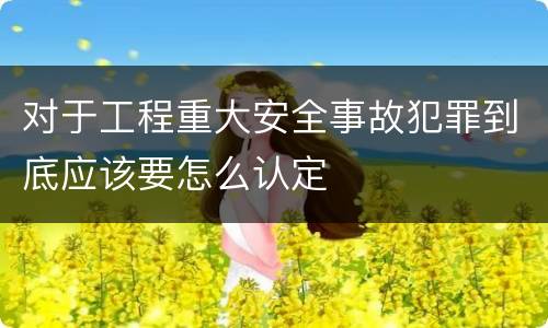 对于工程重大安全事故犯罪到底应该要怎么认定