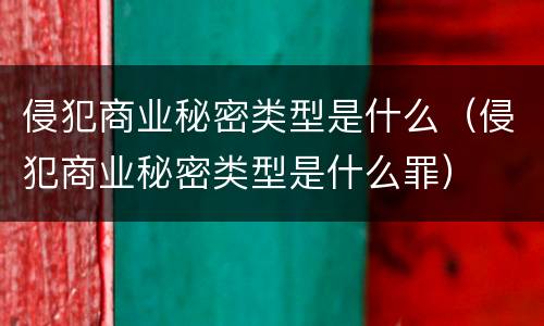 侵犯商业秘密类型是什么（侵犯商业秘密类型是什么罪）