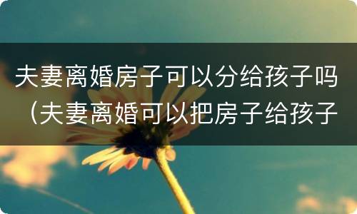夫妻离婚房子可以分给孩子吗（夫妻离婚可以把房子给孩子吗）