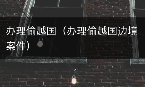 办理偷越国（办理偷越国边境案件）