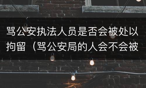 骂公安执法人员是否会被处以拘留（骂公安局的人会不会被拘留）