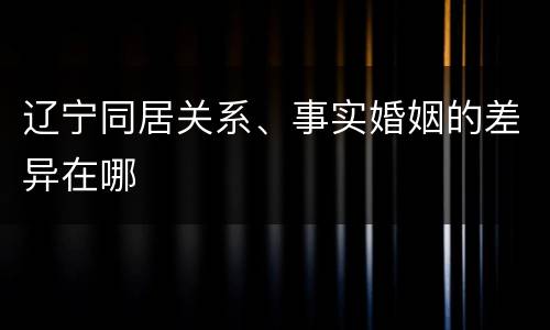 辽宁同居关系、事实婚姻的差异在哪