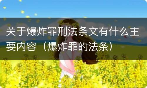 关于爆炸罪刑法条文有什么主要内容（爆炸罪的法条）
