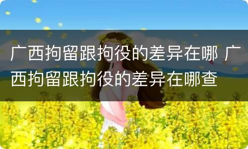 广西拘留跟拘役的差异在哪 广西拘留跟拘役的差异在哪查