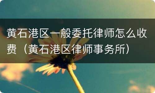 黄石港区一般委托律师怎么收费（黄石港区律师事务所）
