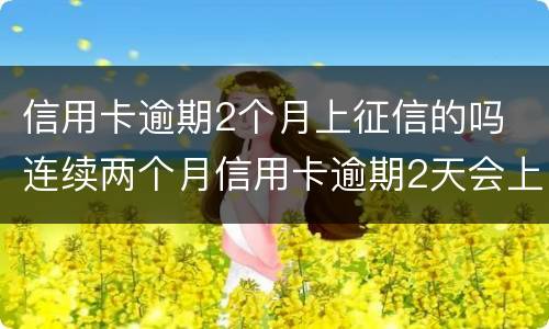 信用卡逾期2个月上征信的吗 连续两个月信用卡逾期2天会上征信吗