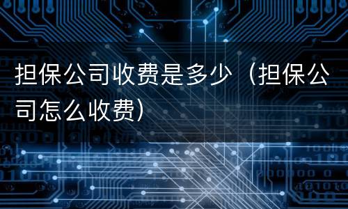 担保公司收费是多少（担保公司怎么收费）