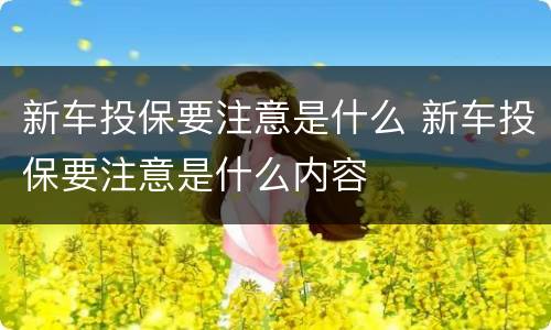 新车投保要注意是什么 新车投保要注意是什么内容