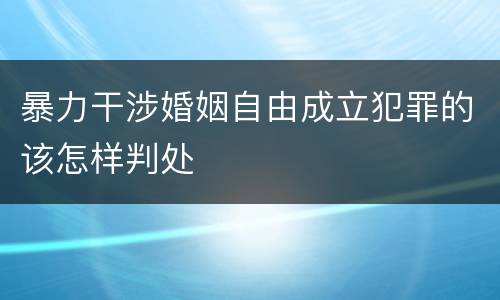 暴力干涉婚姻自由成立犯罪的该怎样判处