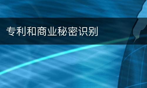 专利和商业秘密识别
