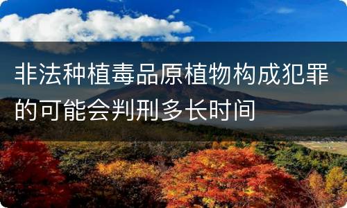 非法种植毒品原植物构成犯罪的可能会判刑多长时间