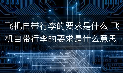 飞机自带行李的要求是什么 飞机自带行李的要求是什么意思