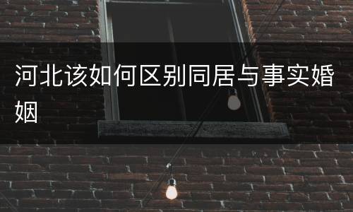 河北该如何区别同居与事实婚姻