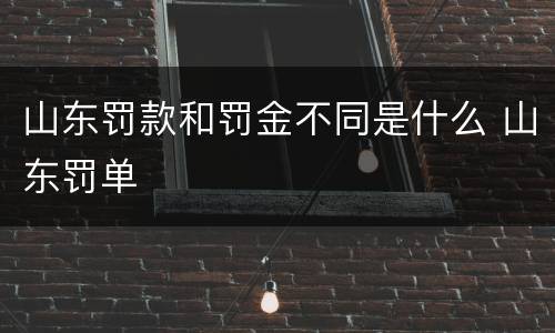 山东罚款和罚金不同是什么 山东罚单