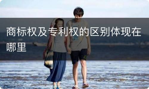 商标权及专利权的区别体现在哪里