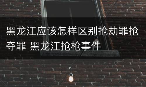 黑龙江应该怎样区别抢劫罪抢夺罪 黑龙江抢枪事件