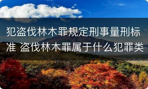 犯盗伐林木罪规定刑事量刑标准 盗伐林木罪属于什么犯罪类型