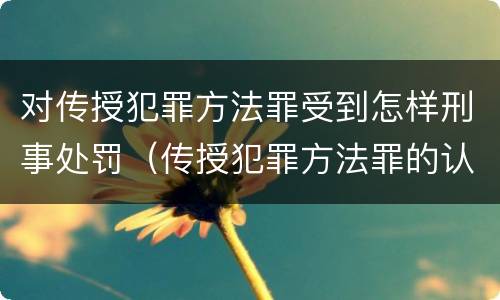 对传授犯罪方法罪受到怎样刑事处罚（传授犯罪方法罪的认定）