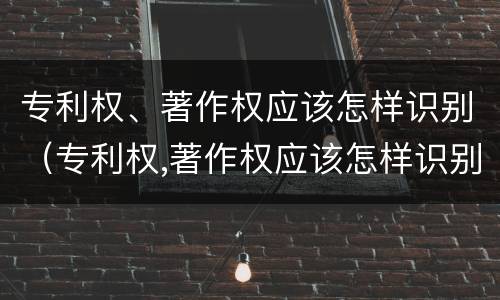 专利权、著作权应该怎样识别（专利权,著作权应该怎样识别出来）
