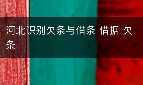 河北识别欠条与借条 借据 欠条
