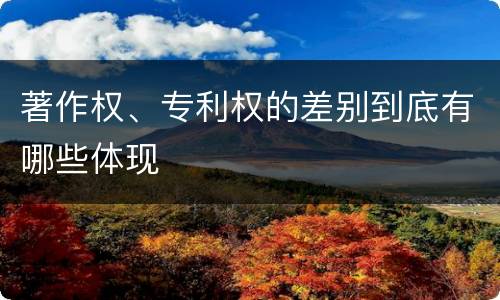 著作权、专利权的差别到底有哪些体现