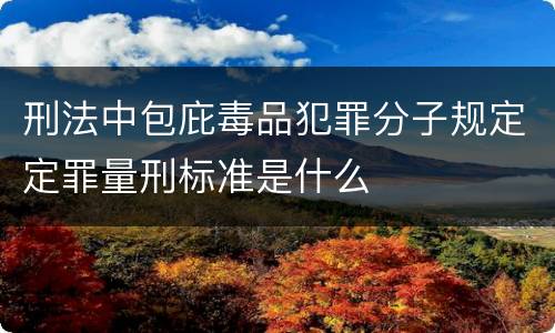 刑法中包庇毒品犯罪分子规定定罪量刑标准是什么