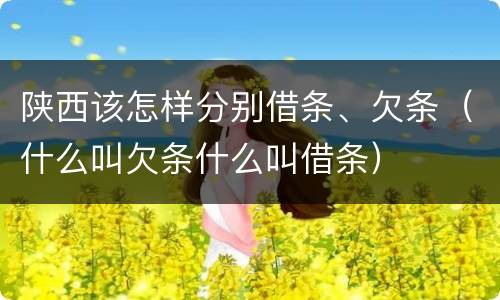 陕西该怎样分别借条、欠条（什么叫欠条什么叫借条）