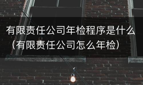 有限责任公司年检程序是什么（有限责任公司怎么年检）