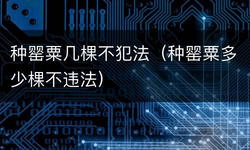 种罂粟几棵不犯法（种罂粟多少棵不违法）