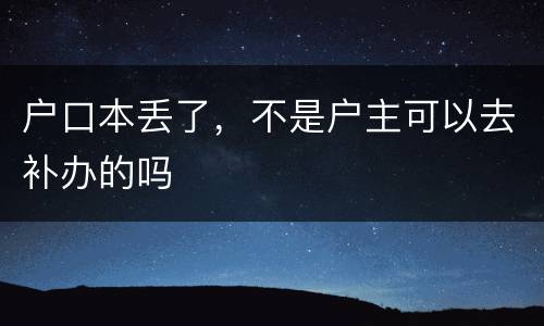 户口本丢了，不是户主可以去补办的吗