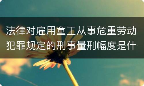法律对雇用童工从事危重劳动犯罪规定的刑事量刑幅度是什么