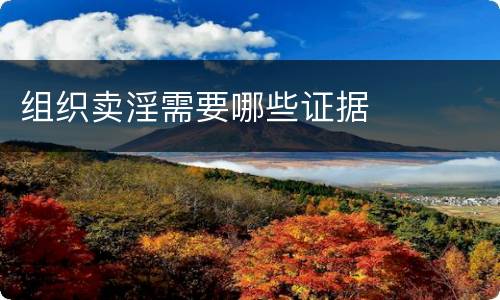 组织卖淫需要哪些证据