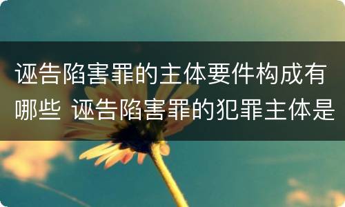 诬告陷害罪的主体要件构成有哪些 诬告陷害罪的犯罪主体是特殊主体