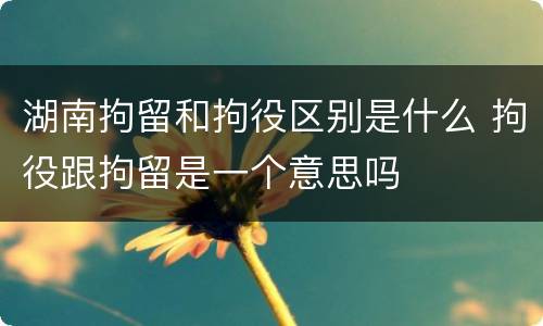 湖南拘留和拘役区别是什么 拘役跟拘留是一个意思吗