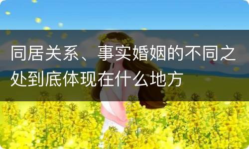 同居关系、事实婚姻的不同之处到底体现在什么地方