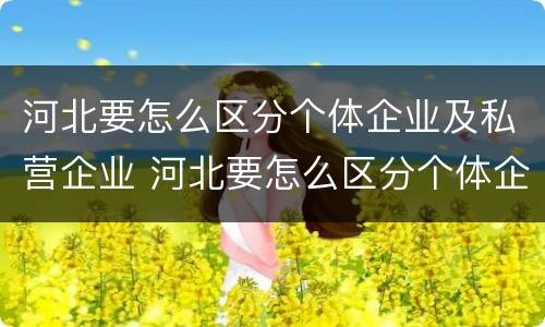 河北要怎么区分个体企业及私营企业 河北要怎么区分个体企业及私营企业呢