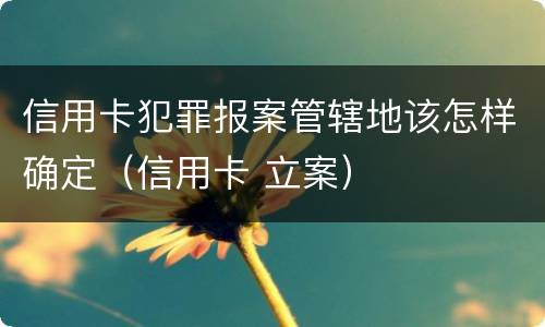 信用卡犯罪报案管辖地该怎样确定（信用卡 立案）