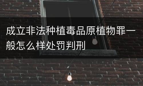 成立非法种植毒品原植物罪一般怎么样处罚判刑
