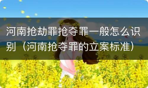 河南抢劫罪抢夺罪一般怎么识别（河南抢夺罪的立案标准）
