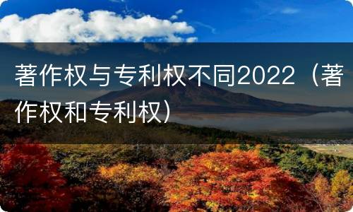 著作权与专利权不同2022（著作权和专利权）