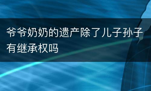 爷爷奶奶的遗产除了儿子孙子有继承权吗