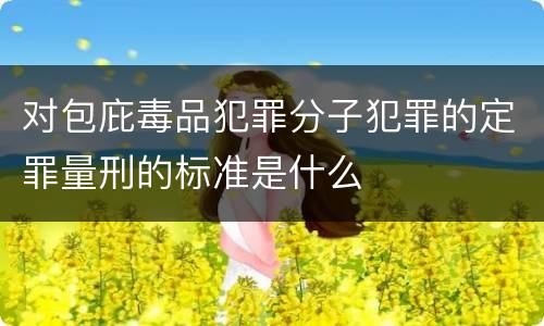 对包庇毒品犯罪分子犯罪的定罪量刑的标准是什么