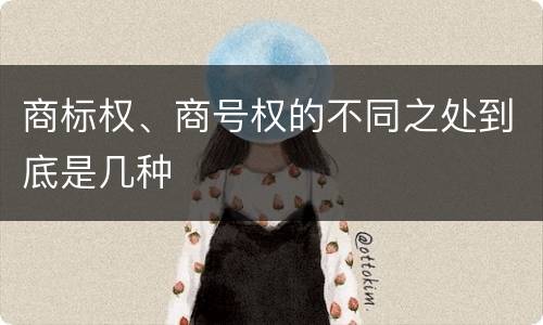 商标权、商号权的不同之处到底是几种