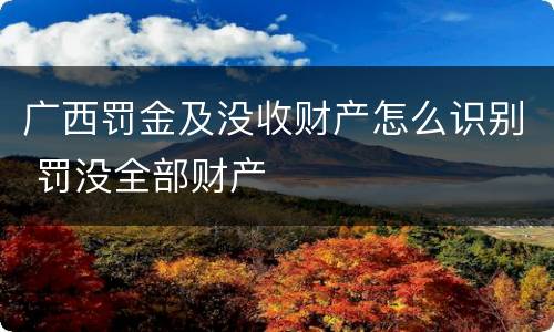 广西罚金及没收财产怎么识别 罚没全部财产