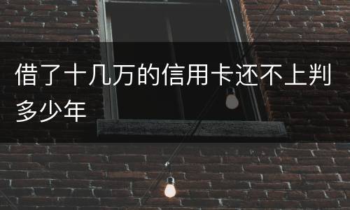 借了十几万的信用卡还不上判多少年