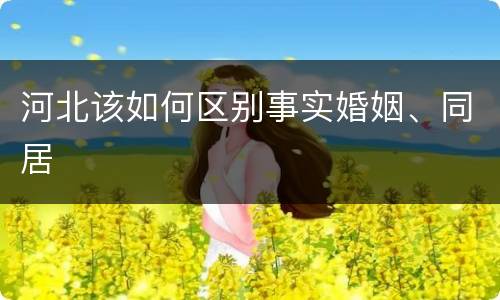 河北该如何区别事实婚姻、同居